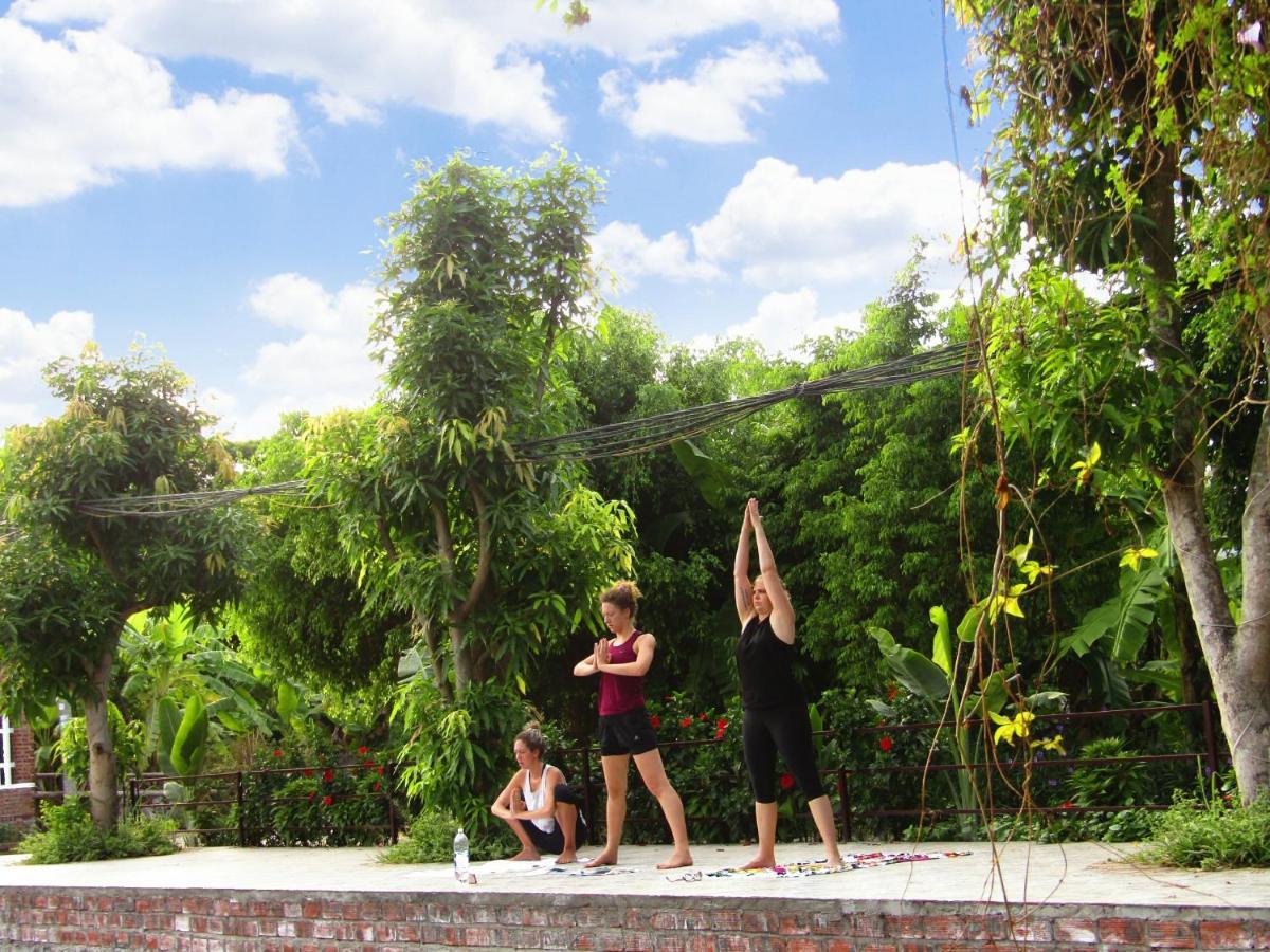 Ninh Binh Mountain Side Homestay & Cafe Kültér fotó