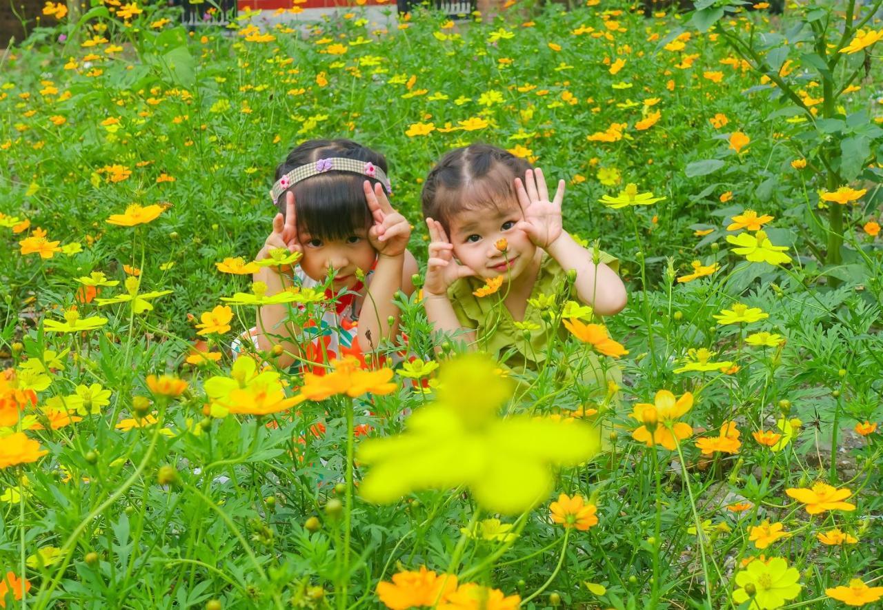 Ninh Binh Mountain Side Homestay & Cafe Kültér fotó