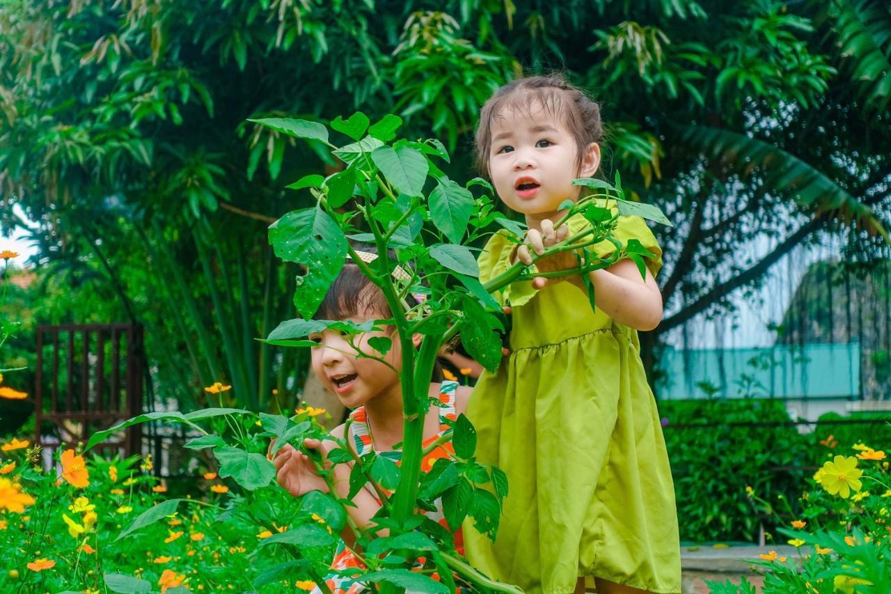 Ninh Binh Mountain Side Homestay & Cafe Kültér fotó