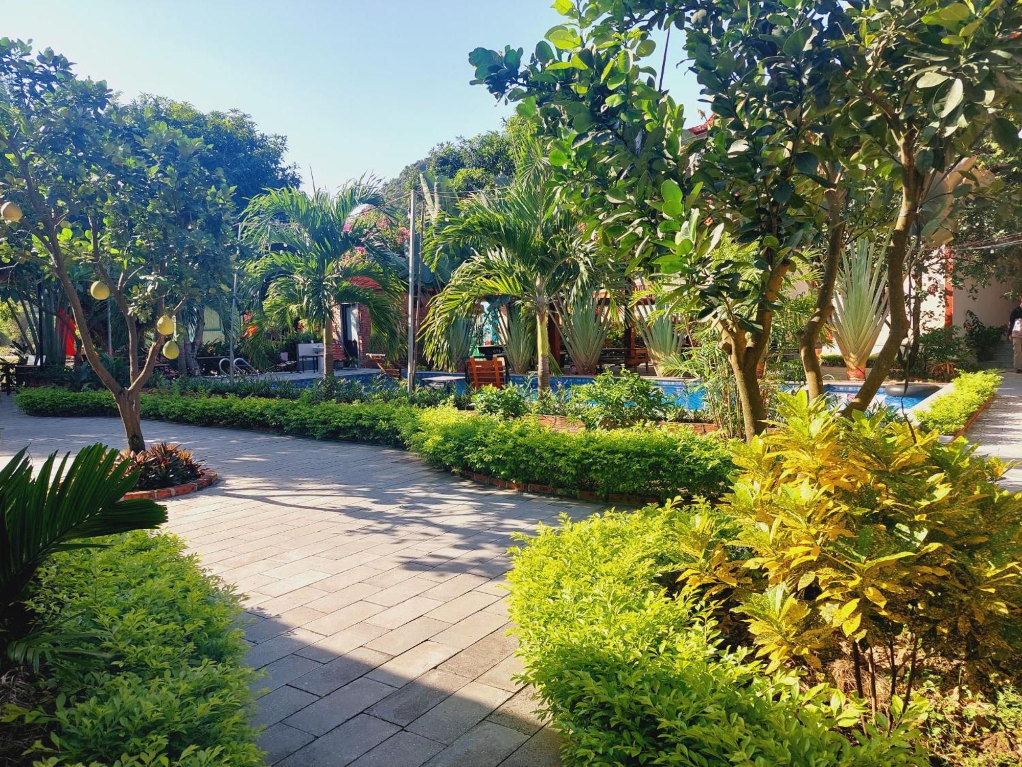 Ninh Binh Mountain Side Homestay & Cafe Kültér fotó